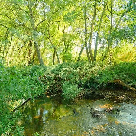 Whome Family Paradise, Exquisite Retreat For Holidays 度假居