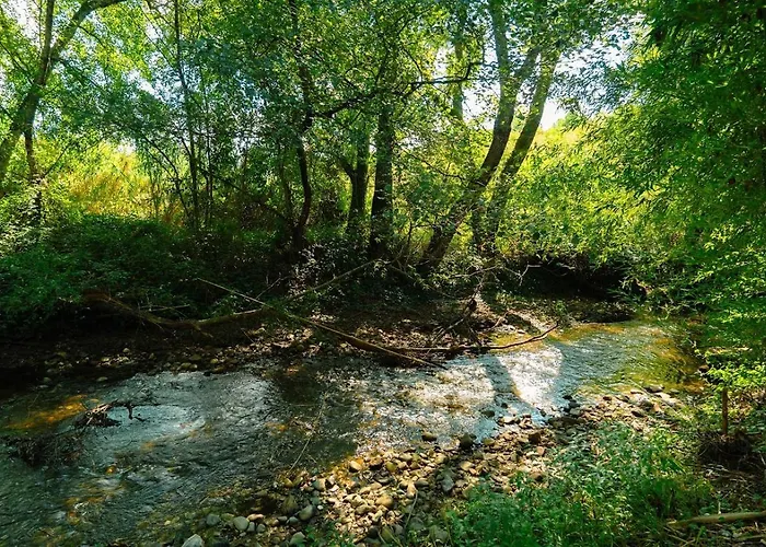 Whome Family Paradise, Exquisite Retreat For Holidays Sao Miguel de Rio Torto