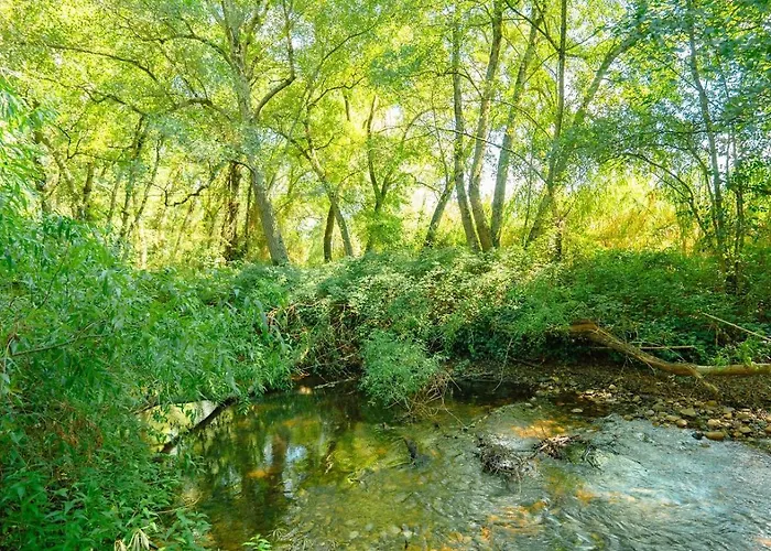 Whome Family Paradise, Exquisite Retreat For Holidays Дом отдыха